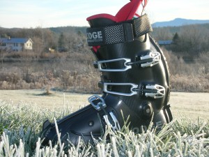 Dodge Ski Boot found playing in the frosty grass, waiting for snow.
